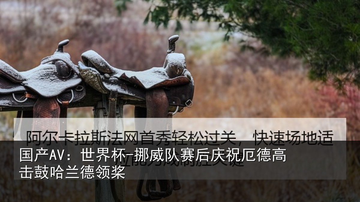 国产AV:世界杯-挪威队赛后庆祝厄德高击鼓哈兰德领桨