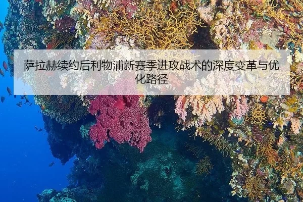 sa-la-he-xu-yue-hou-li-wu-pu-xin-sai-ji-jin-gong-zhan-shu-de-shen-du-bian-ge-yu-you-hua-lu-jing-3-480.jpg