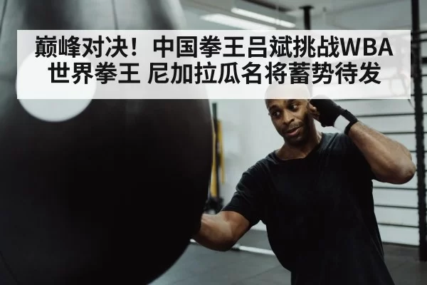 boxer punching heavy bag